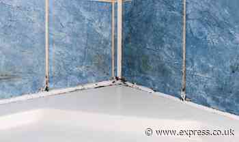 ‘Fantastic’ way to remove silicone sealant mould - makes it ‘impossible to grow back’