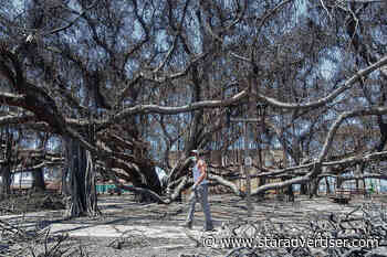 Progress made toward restoring power on Maui