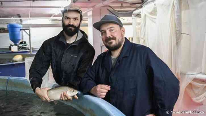 Montreal urban fish farmers say their Arctic char cuts greenhouse gases and waste