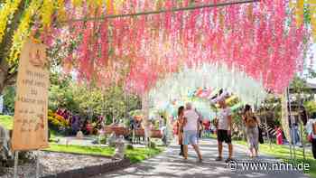 In bunte Farben gehüllt: Lichtenhagen feiert Einweihung von Tempel Lôc Uyên