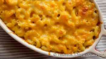 Ooey-gooey... Mac and Cheese Festival returning to Norfolk for fourth year