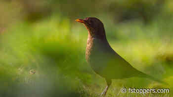 How Do You Know if Your Photos Are Good?