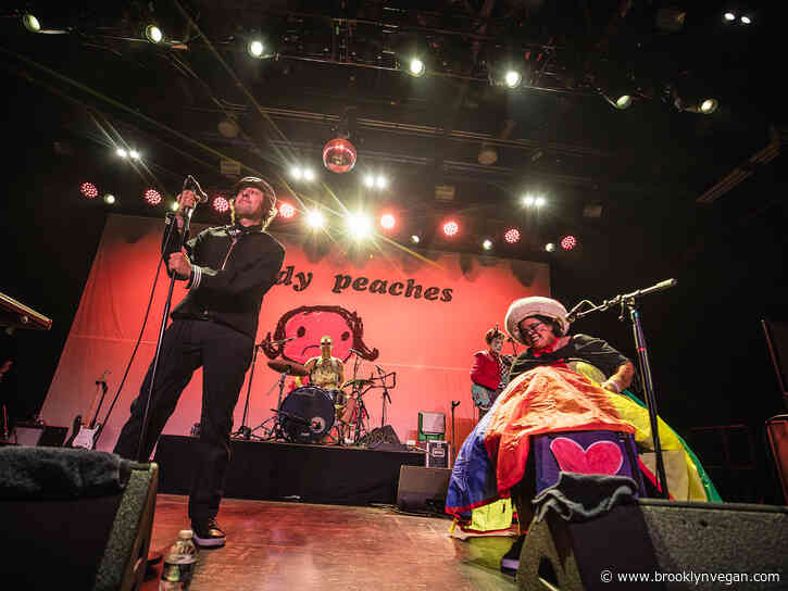 The Moldy Peaches headlined their first US show in 20 years at Brooklyn Steel (pics, setlist)
