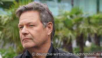 Habecks teuer erkaufte Erfolge