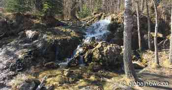 Conservationists appeal gravel mine approval near Big Hill Springs outside Calgary