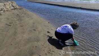 Ecco i mari più inquinati della provincia di Roma e di tutto il Lazio