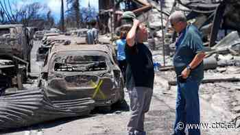 Tallying losses of deadly Maui wildfires still in early stages, officials say