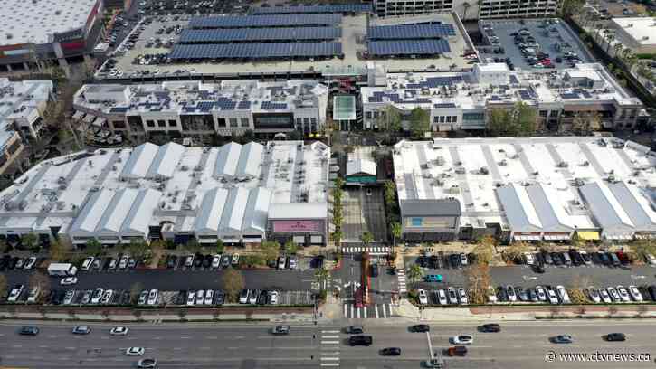 'Mob of criminals' stole up to US$100K worth of merchandise at Los Angeles mall, police say