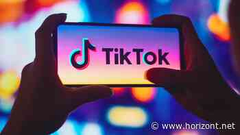 Neue Chancen im Social-Media-Marketing: Wie TikTok das Verhältnis zwischen Klein und Groß neu definiert