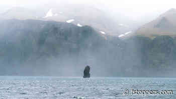 The Difference Between Image Quality and Quality Images