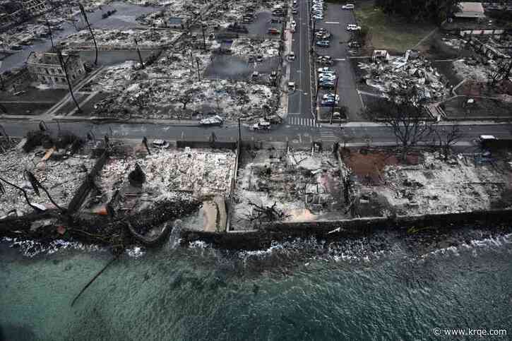 What caused the Maui wildfires?