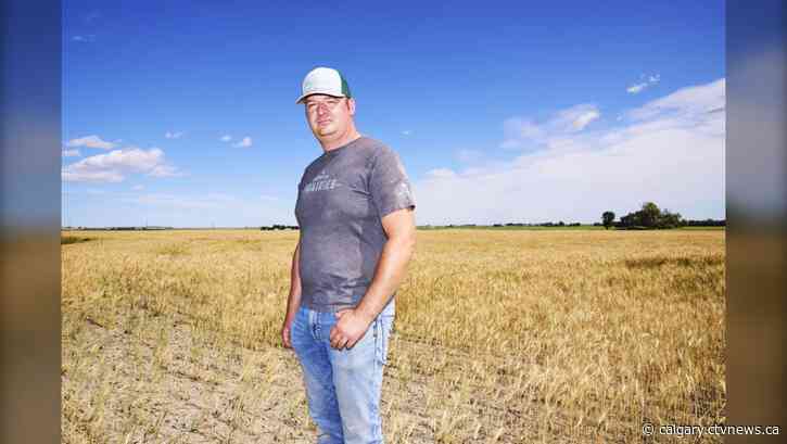 'The saving grace for agriculture': Farmers look to irrigation amid climate woes