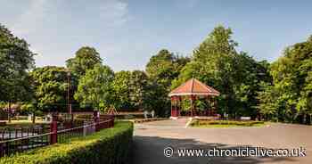 North Tyneside Tory and Labour councillors in row over outdoor film festival expansion