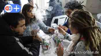 Cannabis-Legalisierung: Kann Deutschland von Uruguay lernen?