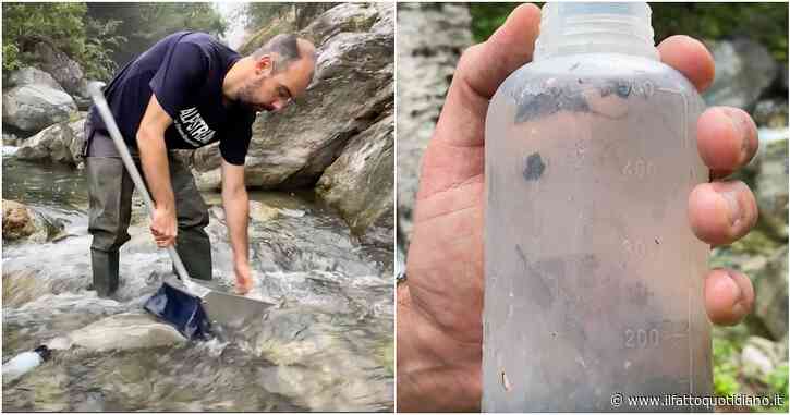 Siccità del Po, così gli organismi acquatici rivelano l’impatto della crisi climatica. I ricercatori: “Nelle secche diminuiti del 50%”