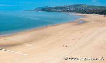 Seaside villagers blast 'dirty pig' tourists after 's***-filled' nappies left on beach