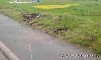 Holiday horror as ‘speeding’ car flipped and rolled into campsite as it ‘tried to brake’