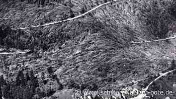 Wirbelstürme im Enztal: Tornados schlagen  Schneise der Zerstörung