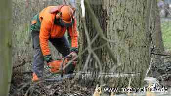 Beim Sonnenbaden am Tüttensee: Traunsteinerin (45) von herabfallenden Baumästen getroffen