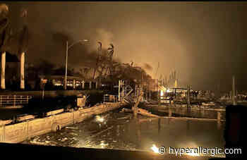 Fires On Maui Destroy Cultural Heritage Sites