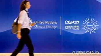 Diese Klima-Aktien gehen an der Börse so richtig ab