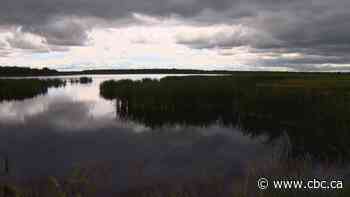 1 person dead and another seriously injured after plane crash in Tofield, Alta.