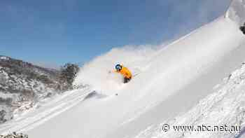 Snowfield spending isn't melting, indicating how some Australians are spending money even as belts tighten