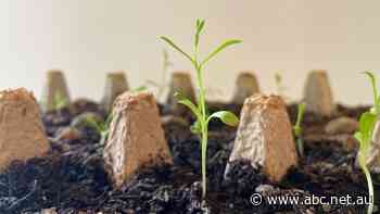 The 'small choices' you're making at home to reduce your household waste