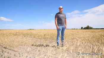 'The saving grace for agriculture': Farmers look to irrigation amid climate woes