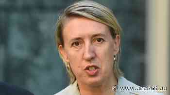 Future of Universities Australia head under question over handling of sexual violence concerns