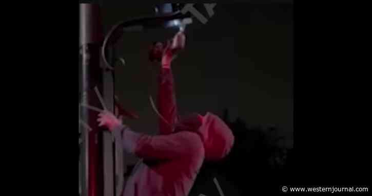 Cameras Go Up to Punish Drivers in the Name of Climate Change - Then Vigilantes Strike