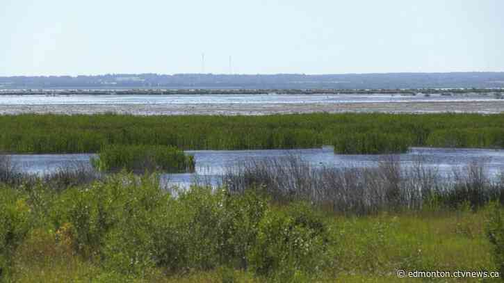 1 dead, 1 seriously injured as plane crashes into Beaverhill Lake east of Edmonton