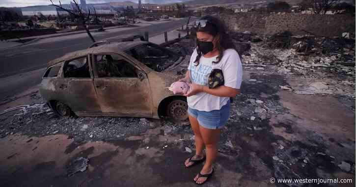 Expert Tells Climate Alarmists to Pump the Brakes on Maui Fire Narrative - He Published a Warning Years Ago Predicting This