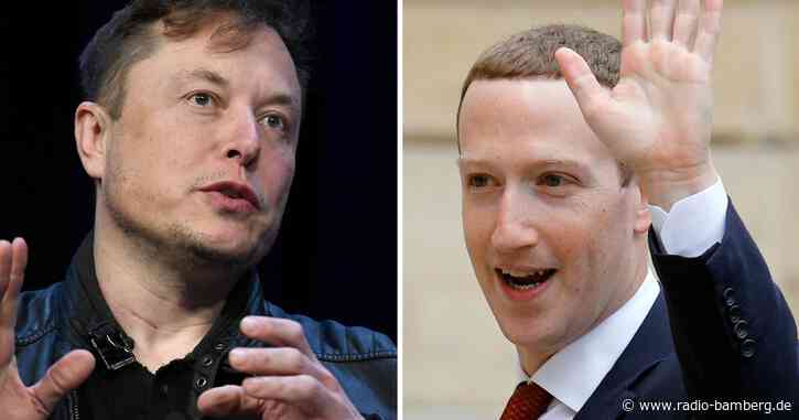 Zuckerberg zu Musk-Kampf: «Elon meint es nicht ernst»