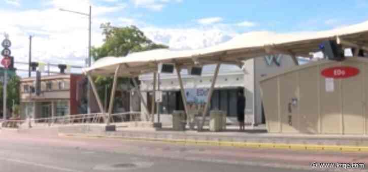 ART passenger arrested for hitting security officer