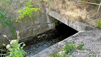 Jenaer Rätselnuss: Dort kommt der Bach ans Licht