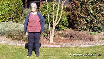 Insurance affordability stress hits hard for one in eight Australian households