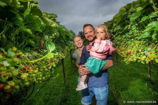 Na anderhalf jaar klussen wilden Jonas en Sarah uit ‘Met vier in bed’ hun B&B openen, maar toen sloeg pyromaan toe: “Alles brandde af”