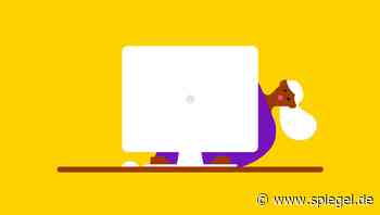 Ohne Kontrolle arbeiten die Kollegen schlampig? Tipps vom Karrierecoach