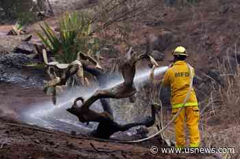 After Maui Wildfires Kill 96, Search for the Missing Continues