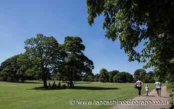 Person fell down 30ft embankment at Blackburn’s Witton Park