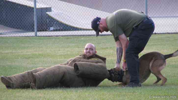 Blame the pandemic: Dog bites are on the rise