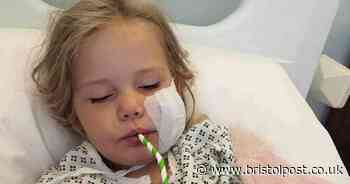 Five-year-old suffers devastating injuries in attack by dog she asked to stroke