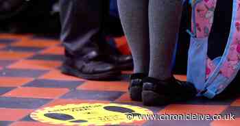 Children and young people in Gateshead waiting too long for special educational help, say inspectors