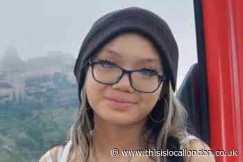 Police search for girl, 16, missing since July