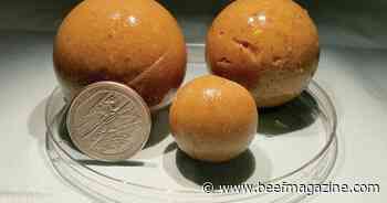 LSU researchers receive patent for feral hog bait