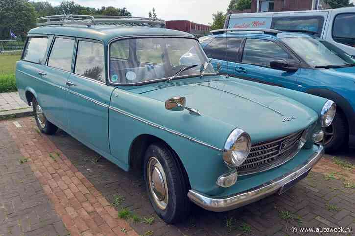 Peugeot 404 Break (1964) - In het Wild