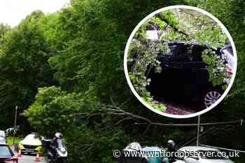 Police called as tree falls on car on A41, Watford