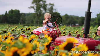 Why You Should Try a 24-105mm Lens