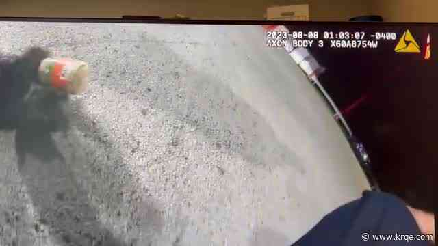 WATCH: Officers help raccoon with head stuck in jar